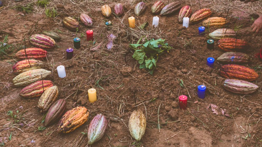 What is a cacao ceremony?
