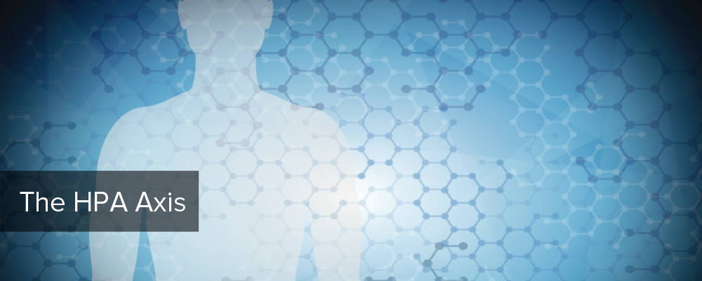 HPA Dysregulation – What Is It And Why It Matters?
