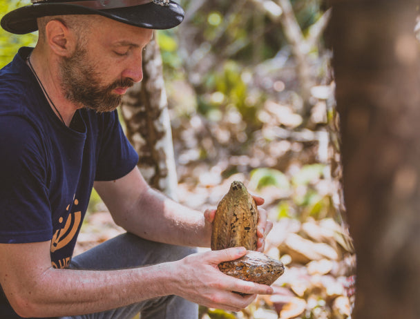 Ancient Plant Wisdom of Maca and Cacao; Weaving Indigenous Wisdom & Scientific Research with Dr Corin Storkey