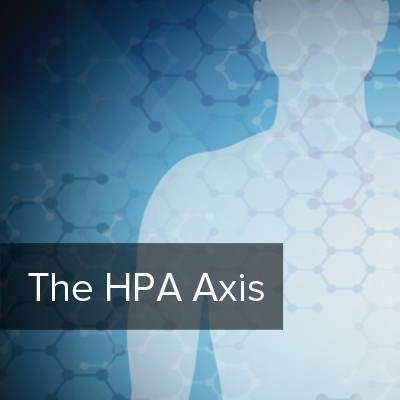 HPA Dysregulation – What Is It And Why It Matters?