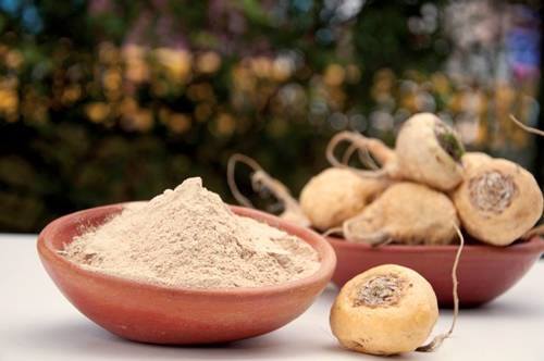 Is maca safe? Myths and truths about maca