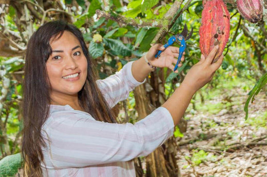 How does cacao work?