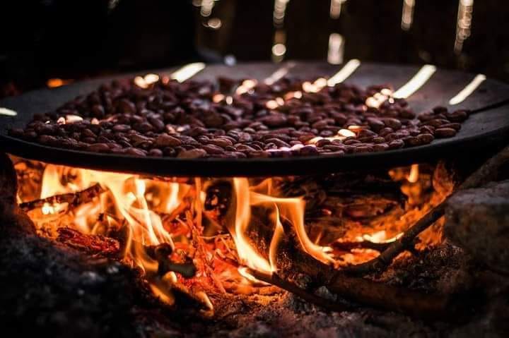 ka ka wa - Rebirth with cacao and breath Retreat (3-6 December 2026 - Hawkes Bay NZ)