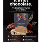 Shansho Ancestral Cacao – 250g Raw Unfermented Cacao Paste