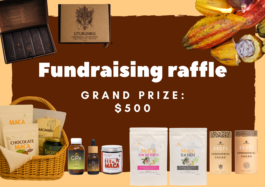 Fundraising raffle tickets