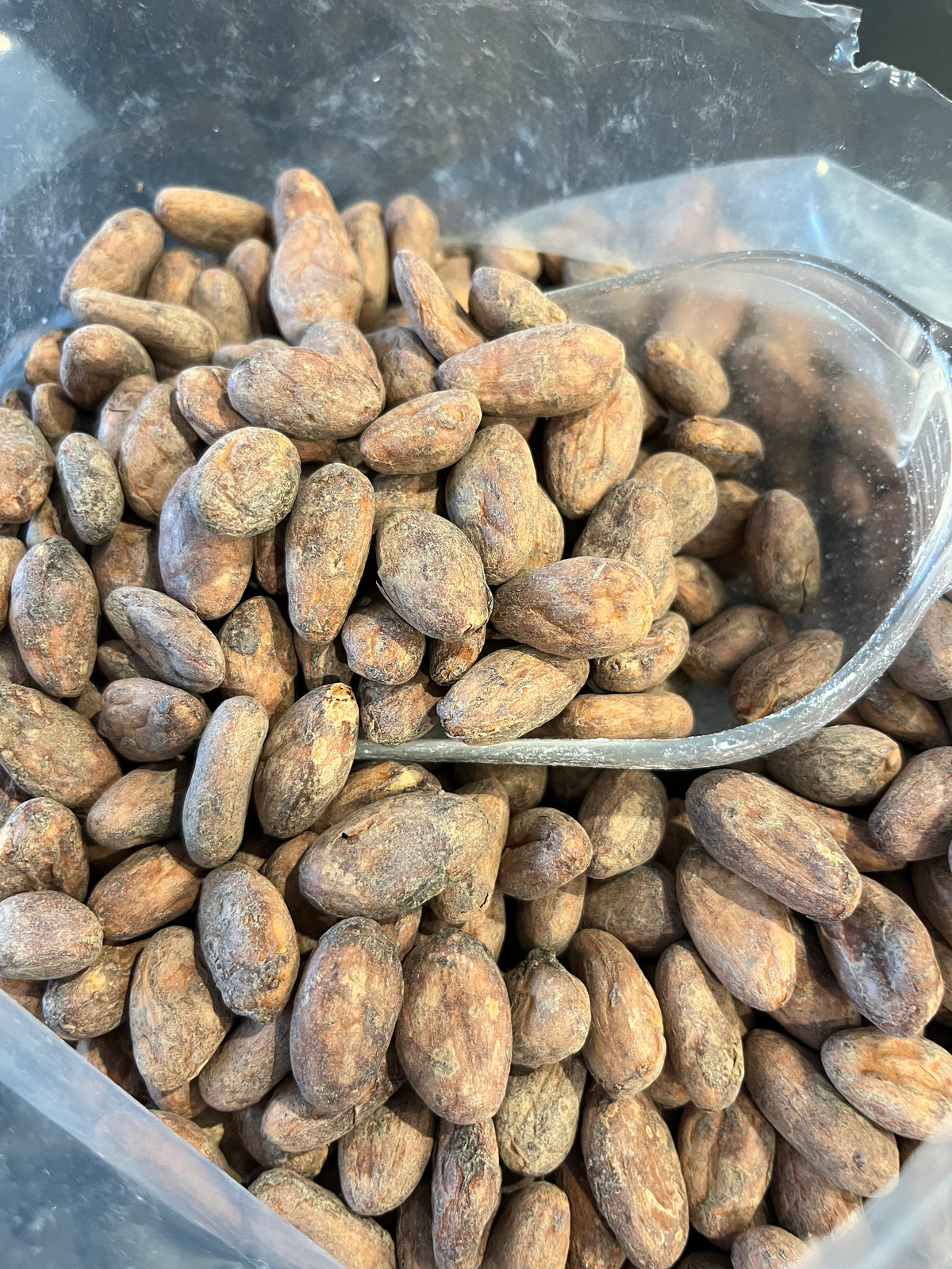 Raw Cacao Beans - 2kg
